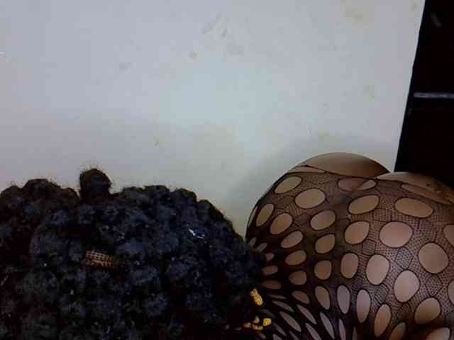 assbby1 assbby1
