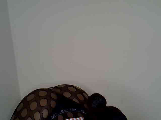 assbby1 webcam
