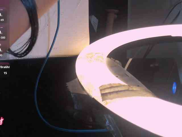 daphne-kim webcam