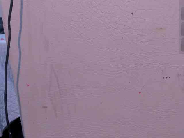 daphne-kim webcam