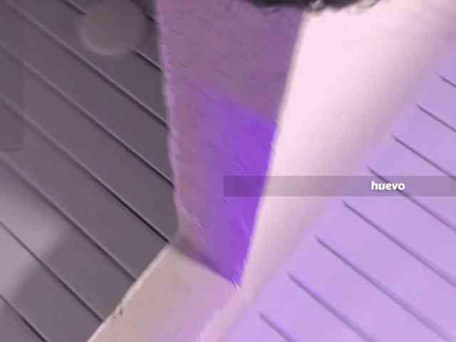 daphne-kim webcam