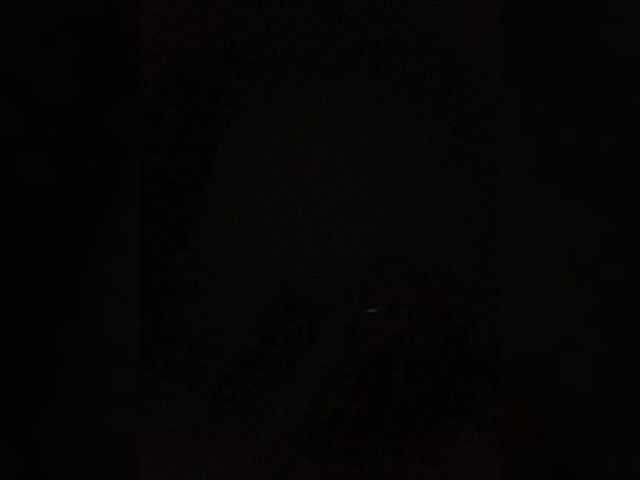 Aniene live webcam show