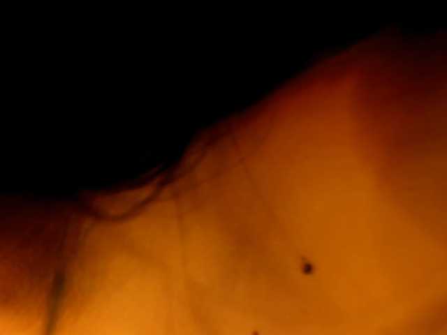 Eimy-saenzx live cam on BongaCams