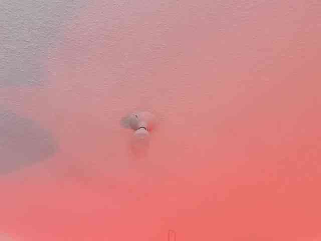 Eimy-saenzx webcam