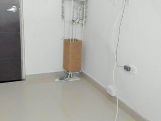 LaraCat1