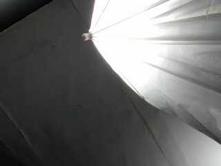 LaraCat1 Porn Show