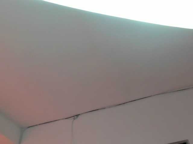 LaraCat1
