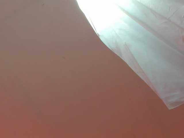 LaraCat1