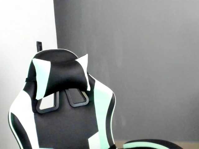 LaraCat1