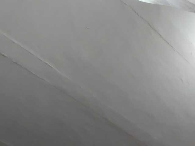 LaraCat1