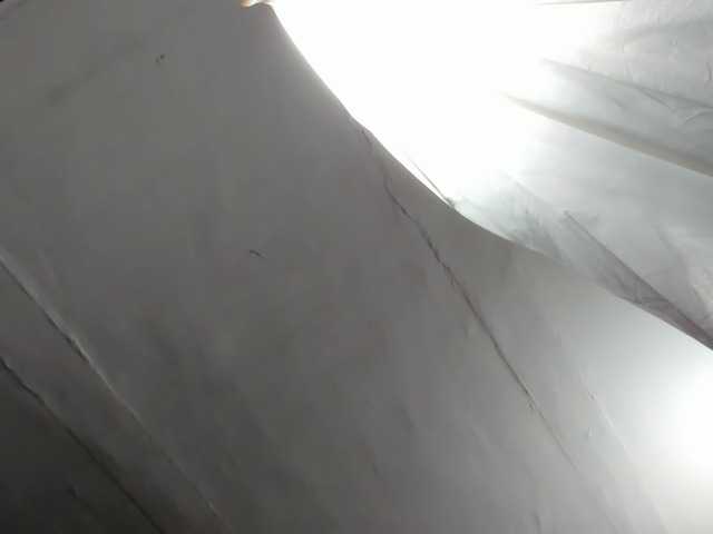 LaraCat1