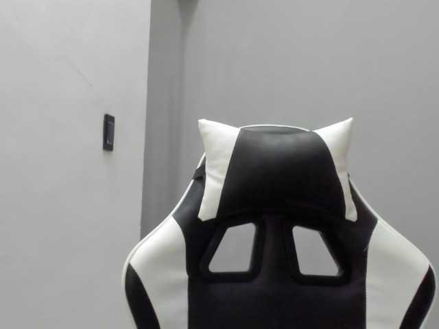 LaraCat1