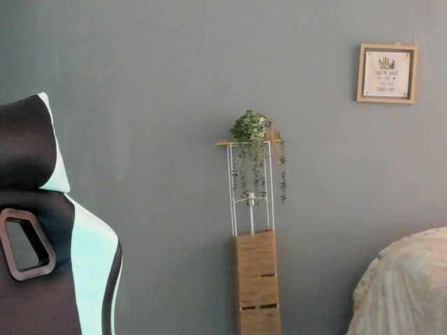 LaraCat1