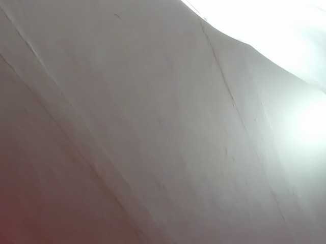 LaraCat1