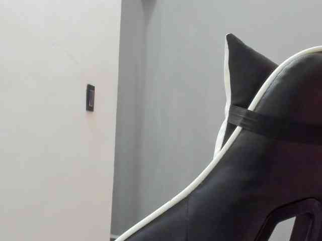 LaraCat1 webcam