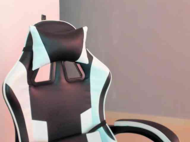 LaraCat1 webcam