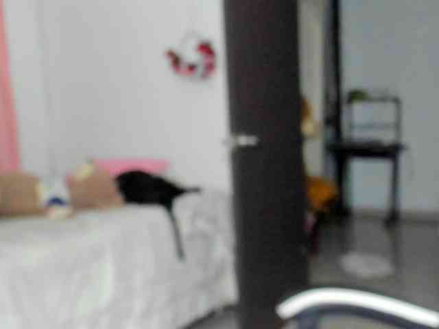 LaraCat1 webcam