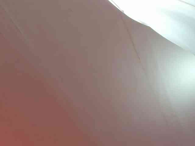 LaraCat1 webcam