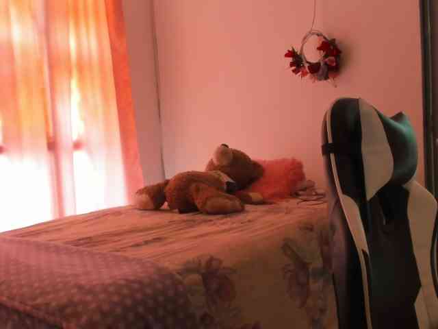 LaraCat1 webcam