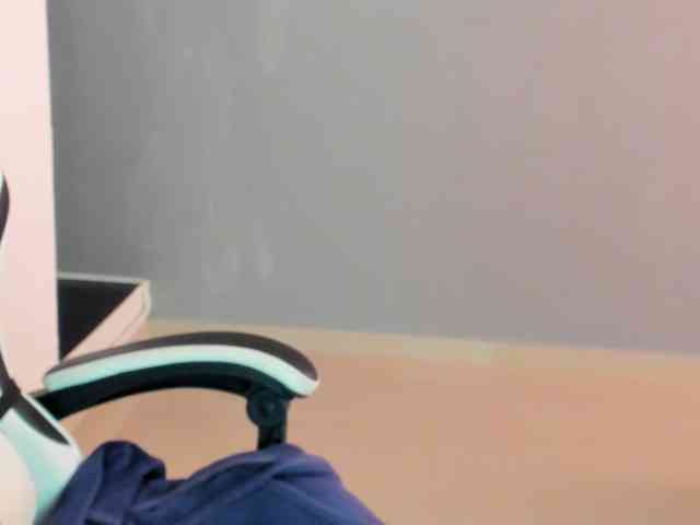 LaraCat1 webcam