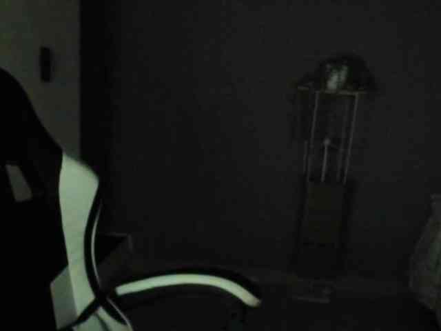 LaraCat1 webcam