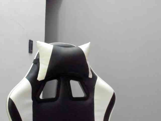 LaraCat1 webcam