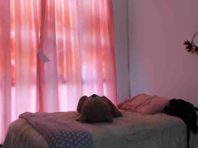 LaraCat1 webcam