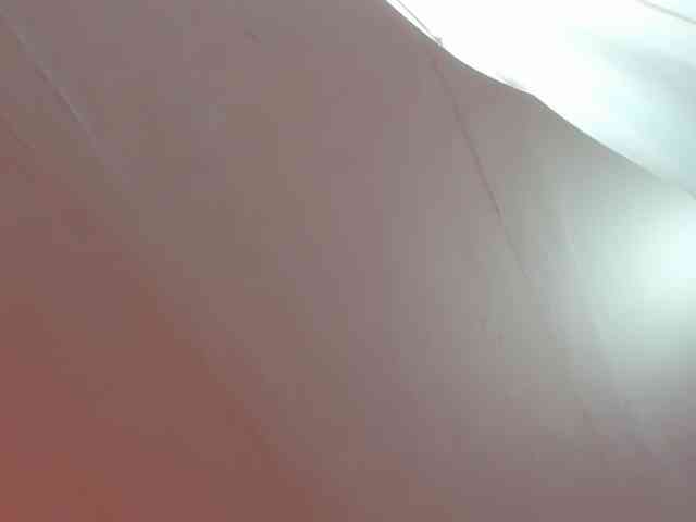 LaraCat1 webcam