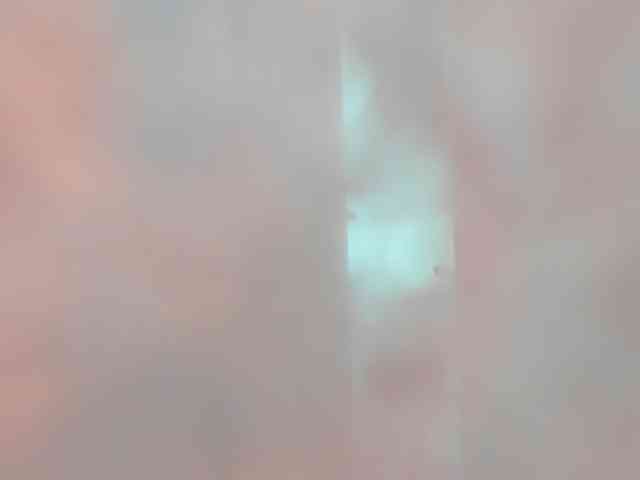 LaraCat1 webcam