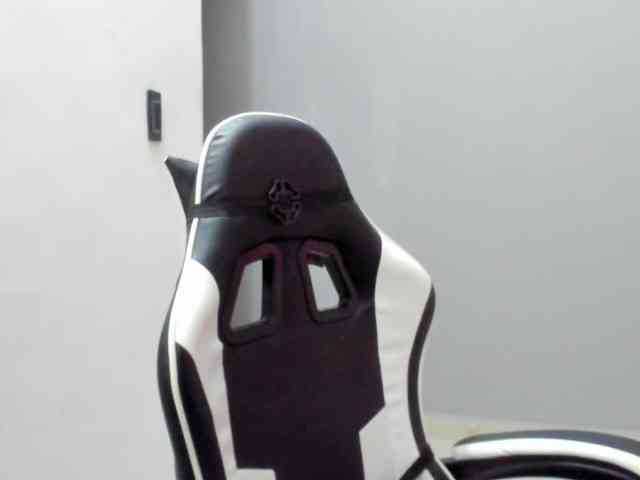 LaraCat1 webcam