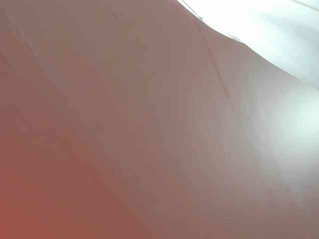 LaraCat1 webcam