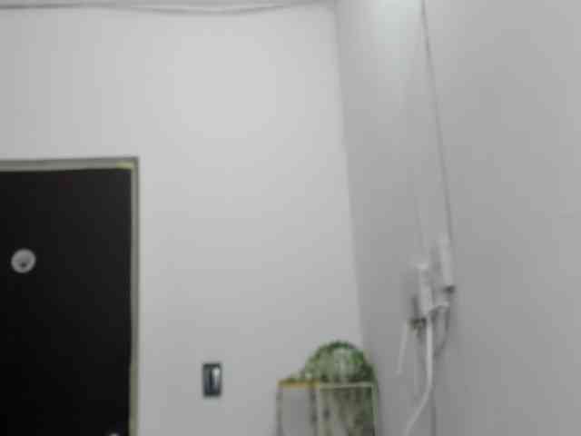 LaraCat1 webcam