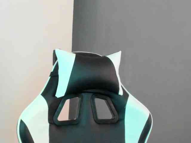 LaraCat1 webcam