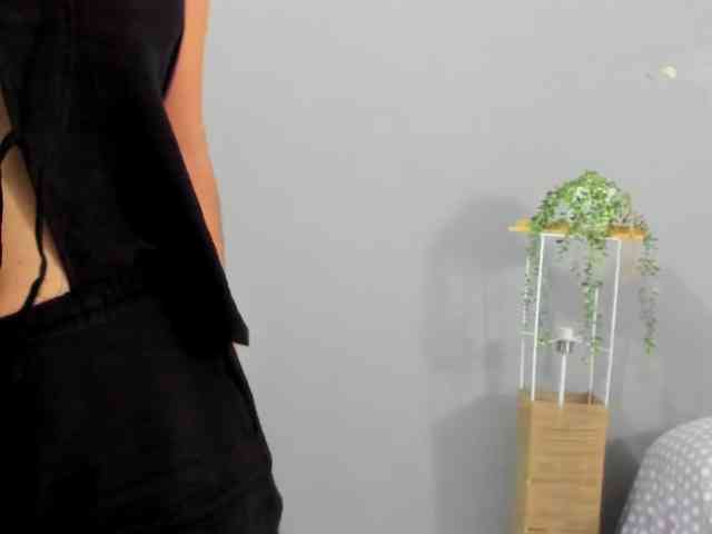 LaraCat1 webcam