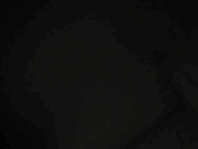 LaraCat1 webcam
