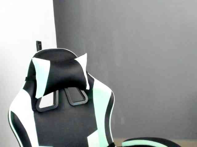LaraCat1 webcam