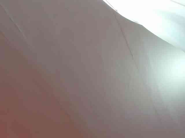 LaraCat1 webcam
