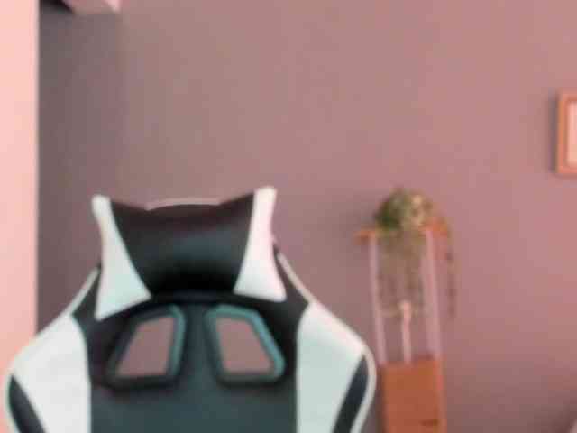 LaraCat1