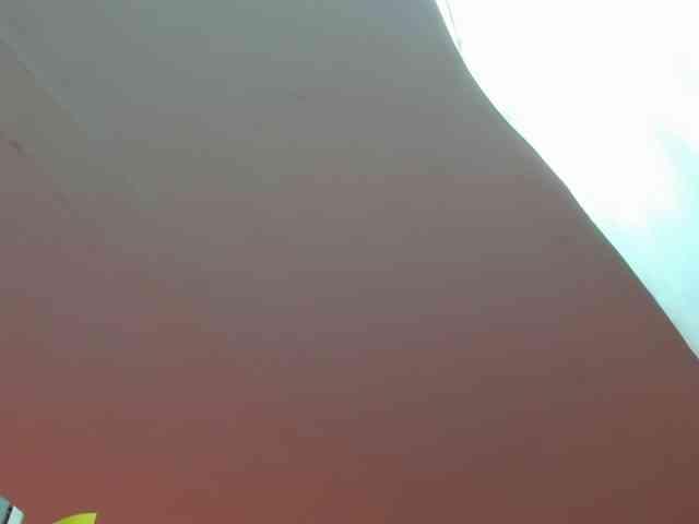 LaraCat1 webcam