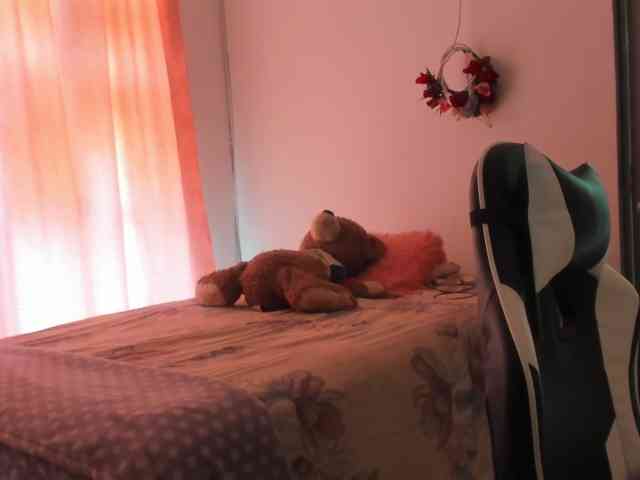 LaraCat1 webcam