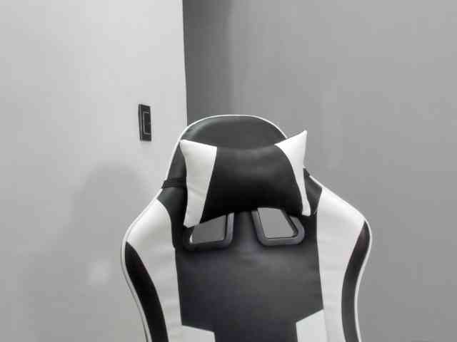 LaraCat1 webcam
