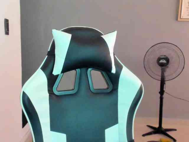 Modelo: LaraCat1