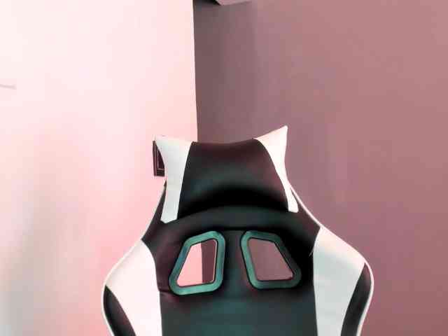 LaraCat1 webcam