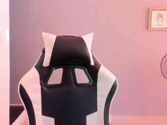 LaraCat1 webcam