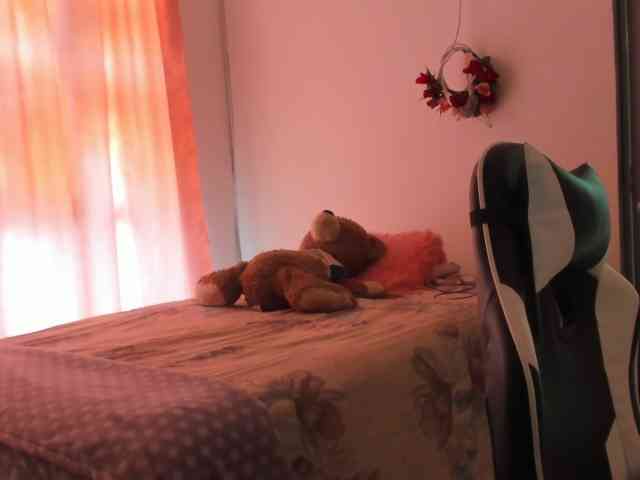 LaraCat1 webcam