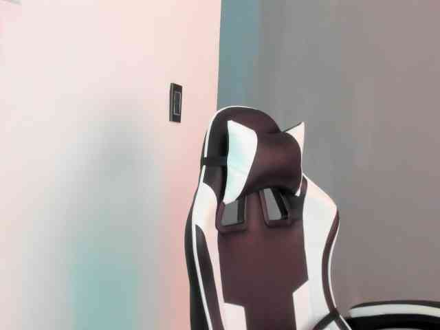 LaraCat1 webcam