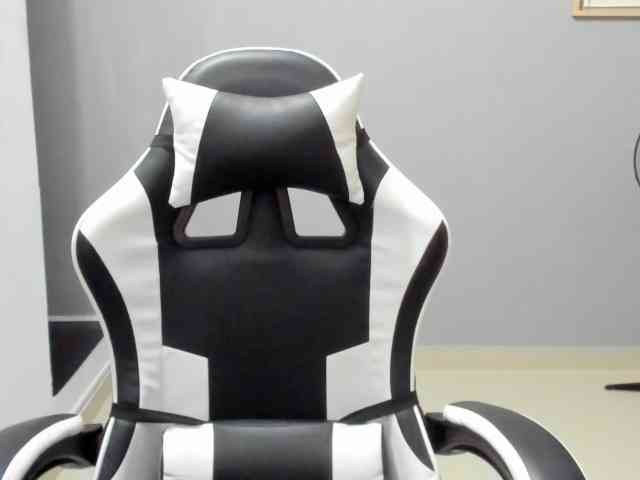 LaraCat1 webcam