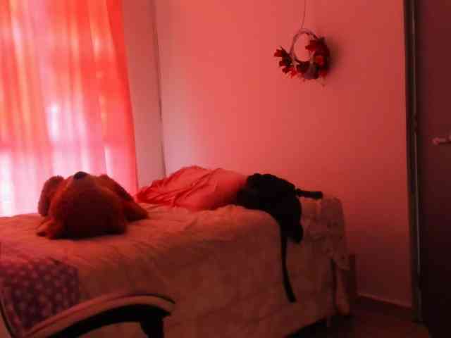LaraCat1 webcam