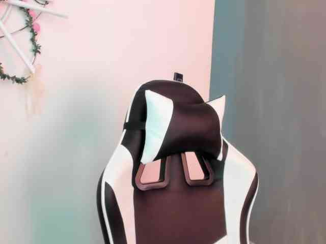 LaraCat1 webcam