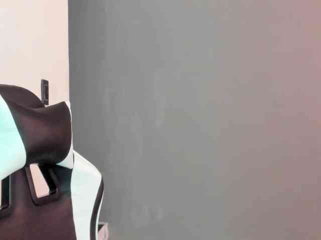 LaraCat1 webcam